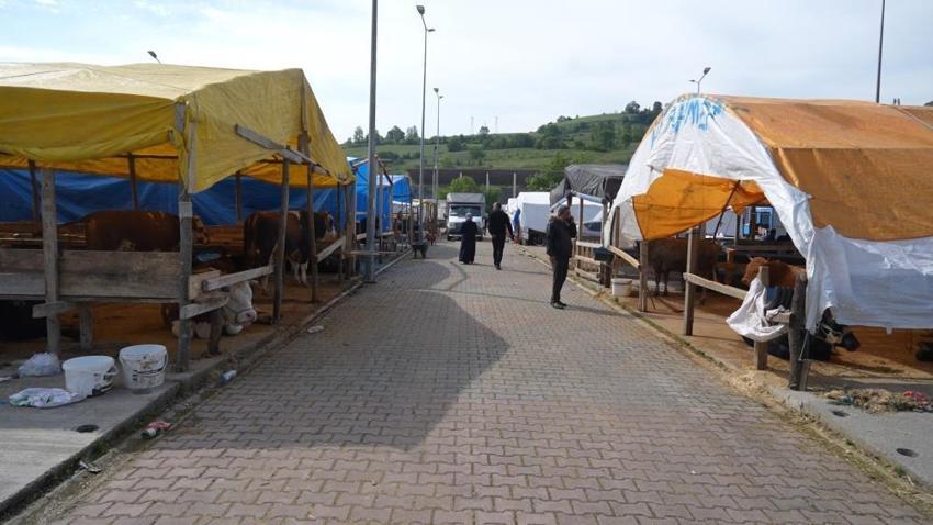Samsun'da fiyatlar 150 bin TL'den başlıyor: 'Asıl hareketlilik o gün olacak'