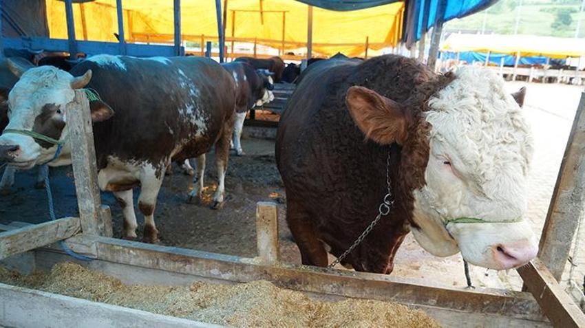 Samsun'da fiyatlar 150 bin TL'den başlıyor: 'Asıl hareketlilik o gün olacak'