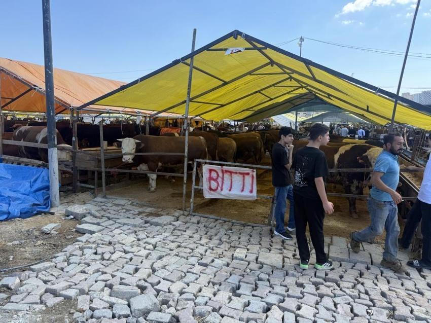 İstanbul Avcılar kurban pazarında çadırlar boşaldı! Arife günü 'bitti' yazıları asıldı