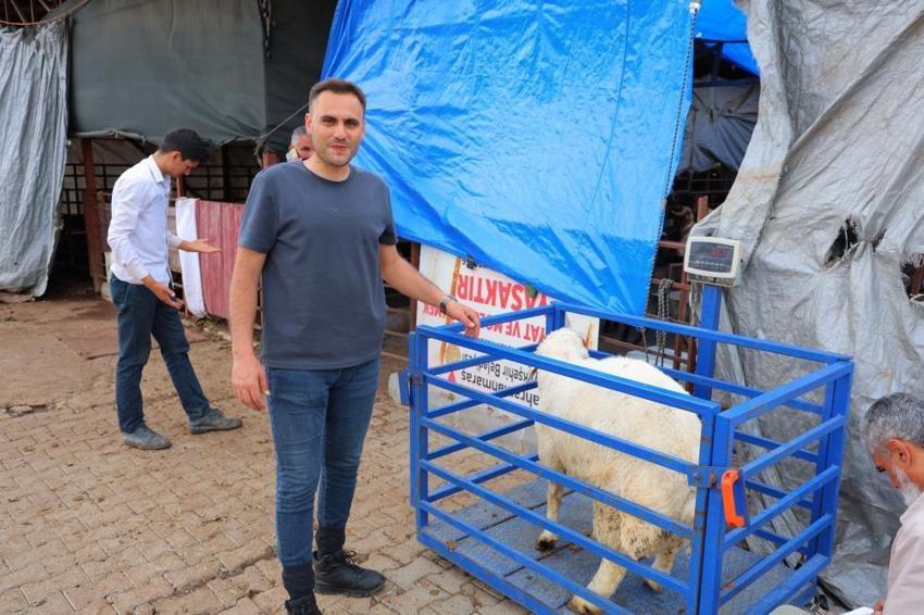 Kahramanmaraş’ta erken bayram havası! Kurbanlıkların %80’i satıldı: Başkan Fırat Görgel ücretsiz seferleri ve kesim ücretlerini açıkladı!