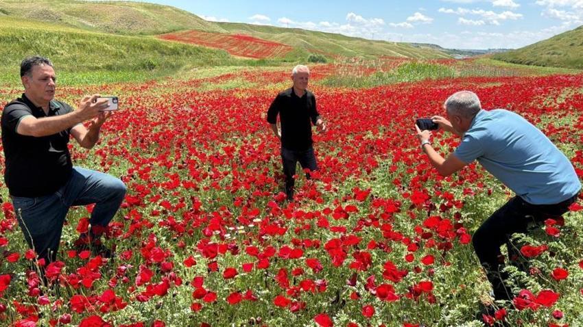 Adıyaman'da kartpostallık görüntüler: Görenler telefonuna sarılıp fotoğraf çekiyor