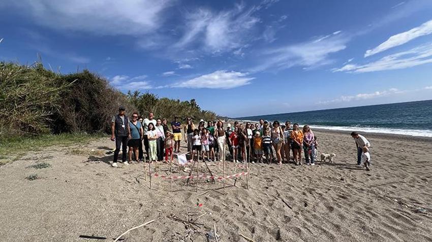 Antalya’da Caretta Carettalar için seferberlik: 60 günlük büyük mucize başladı! Sahile adım atmadan önce bu yazıyı mutlaka okuyun