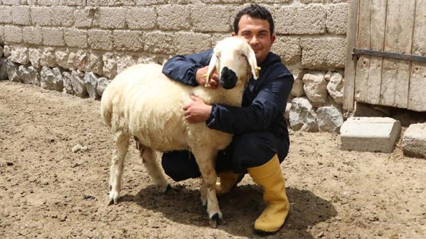 Hastalığına rağmen pes etmedi! Köyüne dönüp kendi işinin patronu oldu