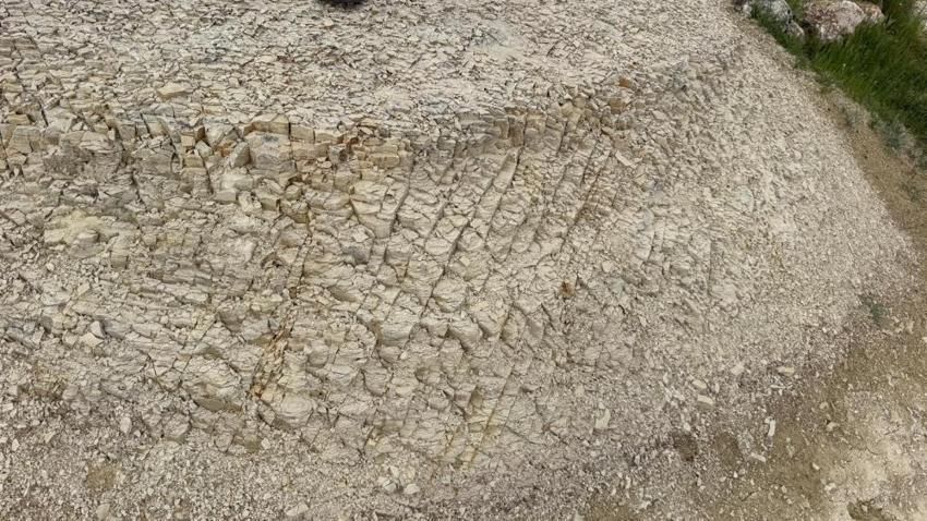 Adıyaman'da görenler gözlerine inanamıyor! Bilim insanları ve doğa tutkunları oraya akın ediyor