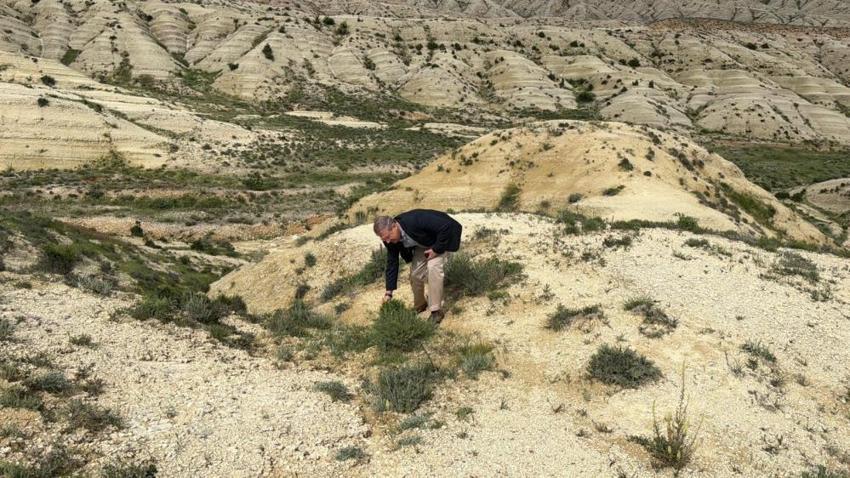Adıyaman'da görenler gözlerine inanamıyor! Bilim insanları ve doğa tutkunları oraya akın ediyor