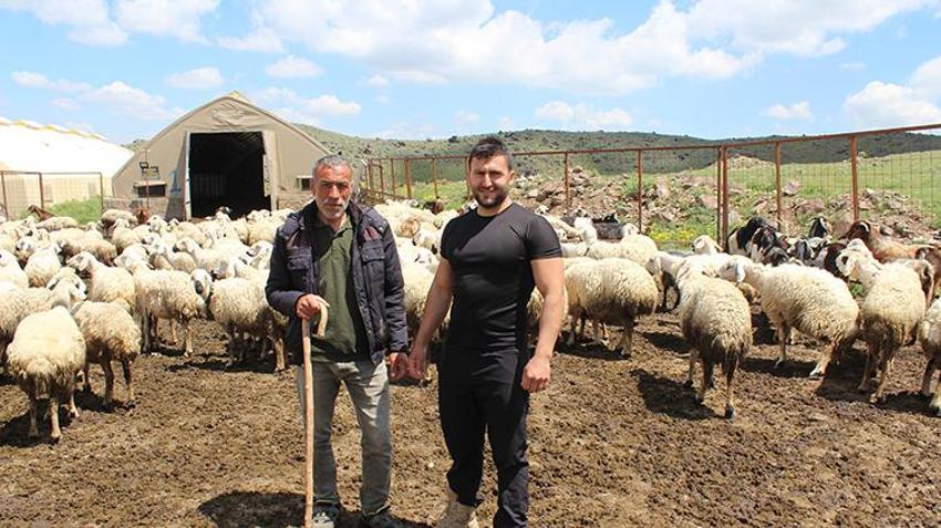 İstifa etti, köyüne döndü, 100 koyunla başladı! 28 yaşında kendi işinin patronu oldu: '2 yılda 2 bin 300 koyuna çıkardı'