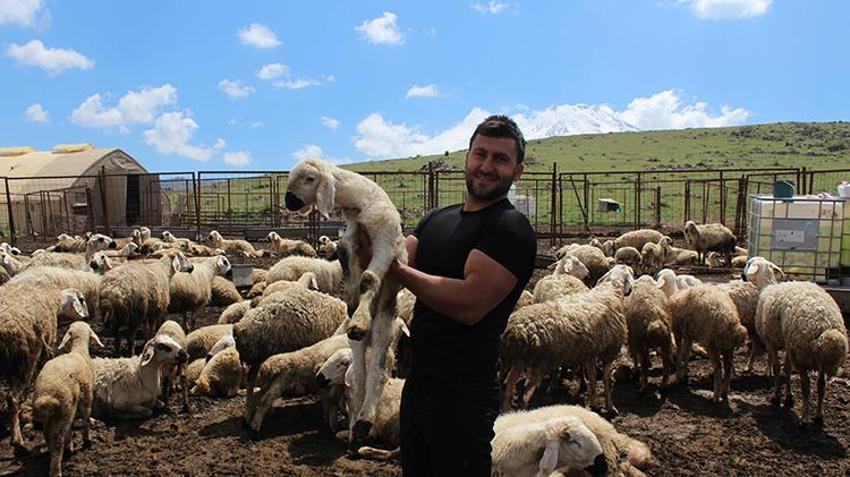 İstifa etti, köyüne döndü, 100 koyunla başladı! 28 yaşında kendi işinin patronu oldu: '2 yılda 2 bin 300 koyuna çıkardı'