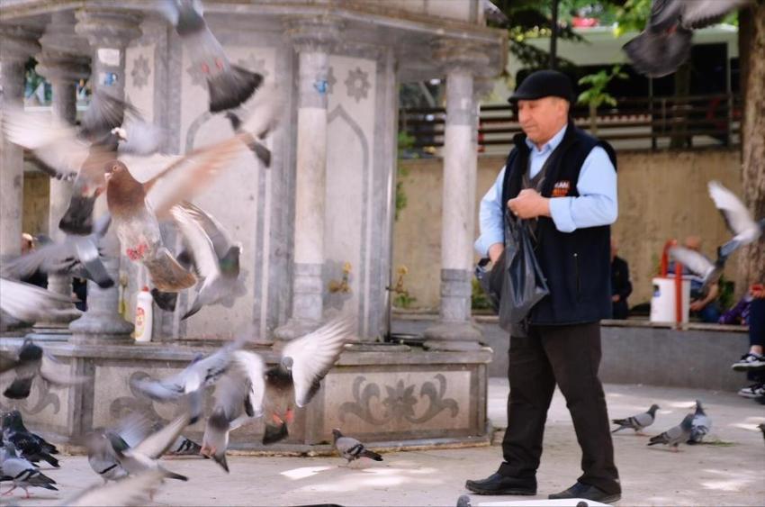 Her bayram çoluğu çocuğu bırakıp kuşlara koşuyor: Bu bayram da onlara gitti