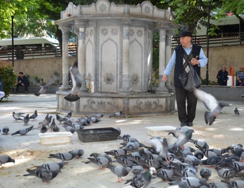 Her bayram çoluğu çocuğu bırakıp kuşlara koşuyor: Bu bayram da onlara gitti