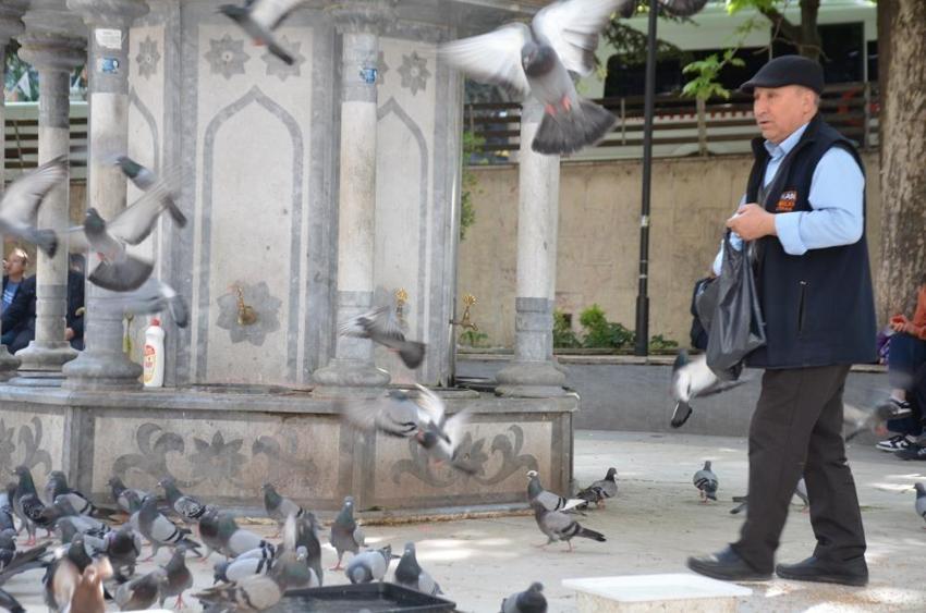 Her bayram çoluğu çocuğu bırakıp kuşlara koşuyor: Bu bayram da onlara gitti
