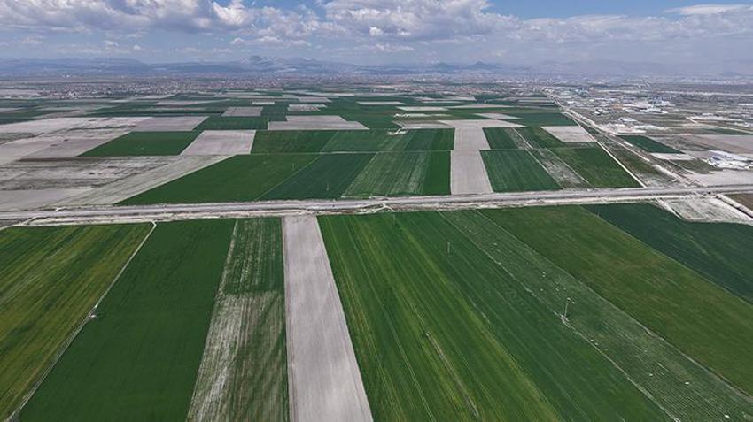 Türkiye'nin tahıl ambarında rekor! Cumhuriyet tarihinin en yüksek rekoltesi