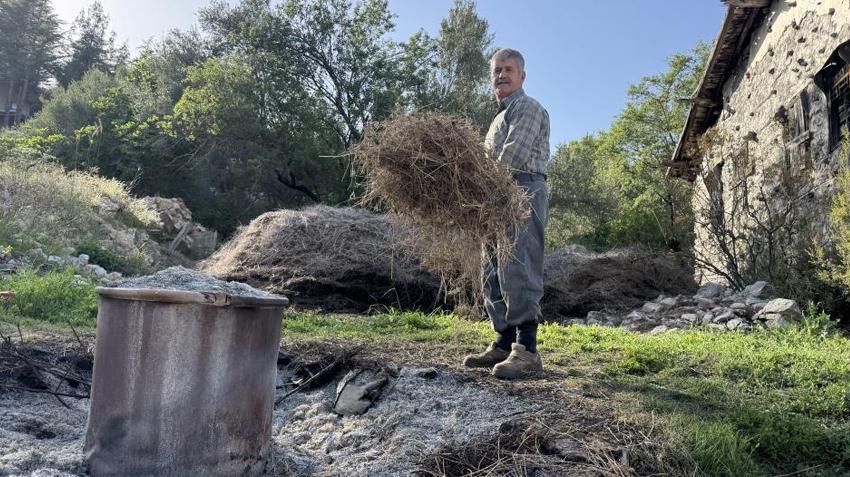 Antalya'da dağlardan bedavaya topluyor, kilosunu 18 bin TL'ye satıyor: Büyük fabrika kuracağız