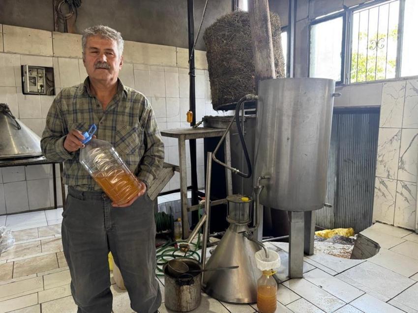 Antalya'da dağlardan bedavaya topluyor, kilosunu 18 bin TL'ye satıyor: Büyük fabrika kuracağız