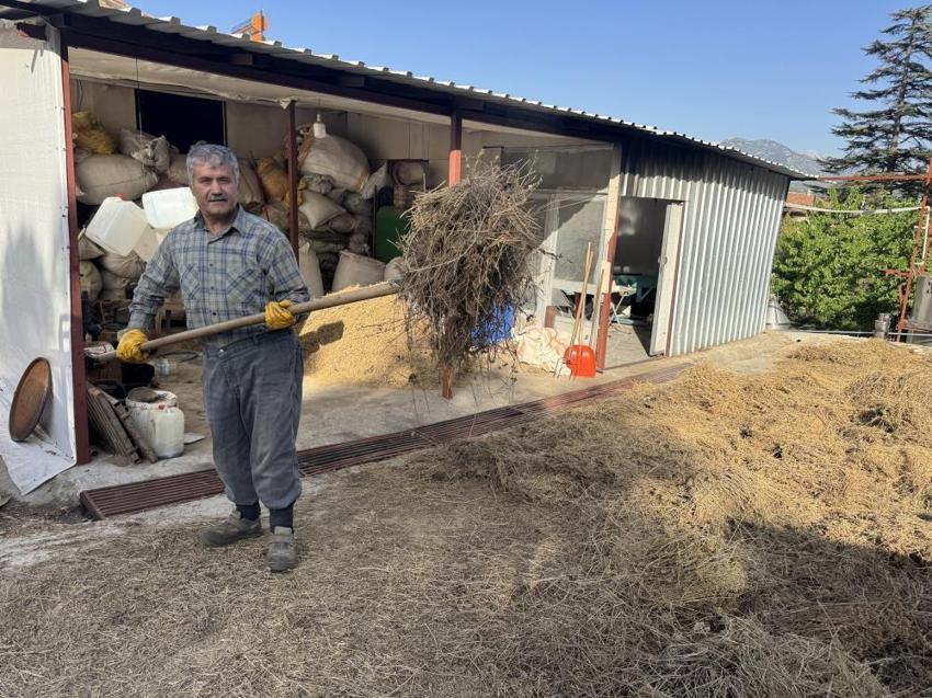 Antalya'da dağlardan bedavaya topluyor, kilosunu 18 bin TL'ye satıyor: Büyük fabrika kuracağız