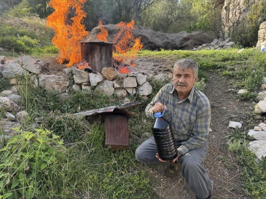 Antalya'da dağlardan bedavaya topluyor, kilosunu 18 bin TL'ye satıyor: Büyük fabrika kuracağız
