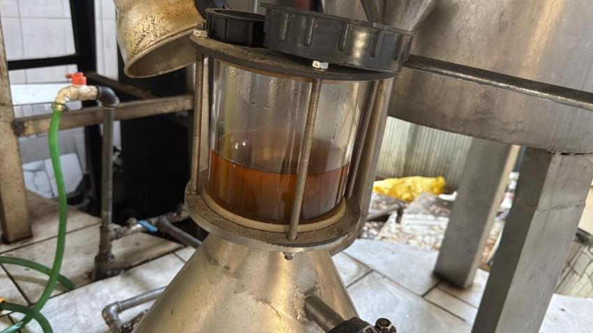 Antalya'da dağlardan bedavaya topluyor, kilosunu 18 bin TL'ye satıyor: Büyük fabrika kuracağız