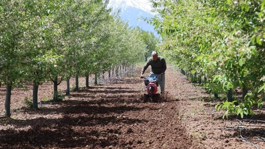 1. ve 2. liglerde şampiyon oldu, köyünde 600 ağaçla yeni işine başladı: 30 ton ürün bekliyoruz