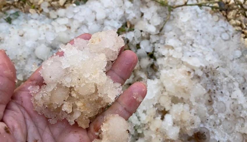 Mersin'de dolu yağışı tarım ürünlerini vurdu! 20 dakikada büyük zarar verdi