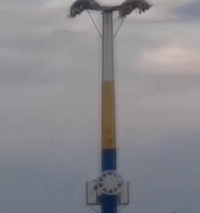 Lunaparkta dehşet anları! Arızalanan oyuncakta baş aşağı mahsur kaldılar