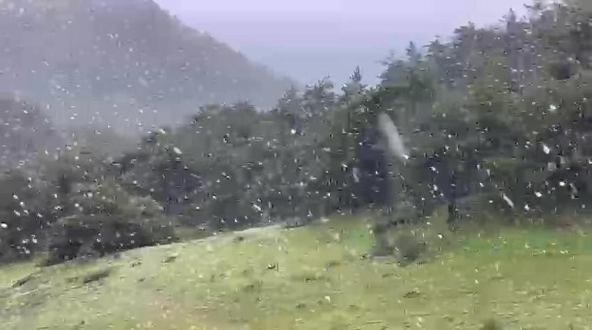 Haziran ayına günler kala kar sürprizi! Her yer bembeyaz oldu