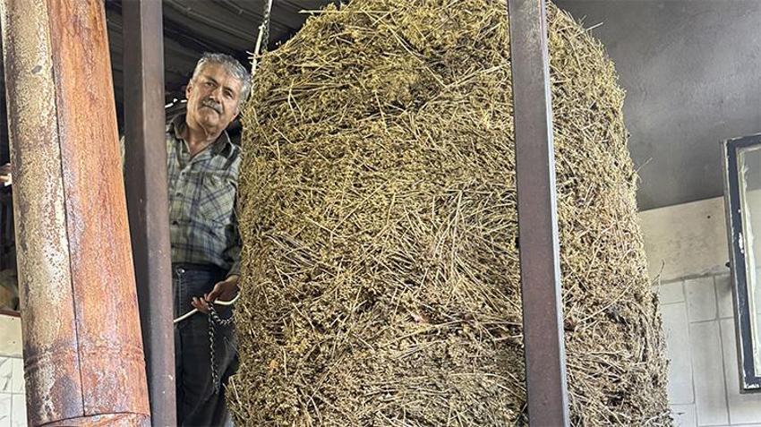 Torosların şifasını dünyaya satıyor! Aksekili girişimcinin ilham veren başarısı