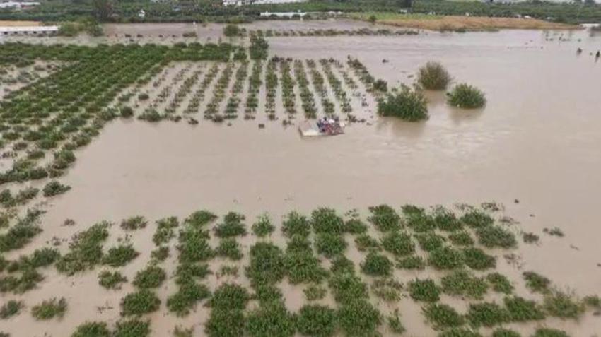 Hatay'da sular çekildi hasar ortaya çıktı: 'Her kış ayında su yatakları ıslah edilmeli'