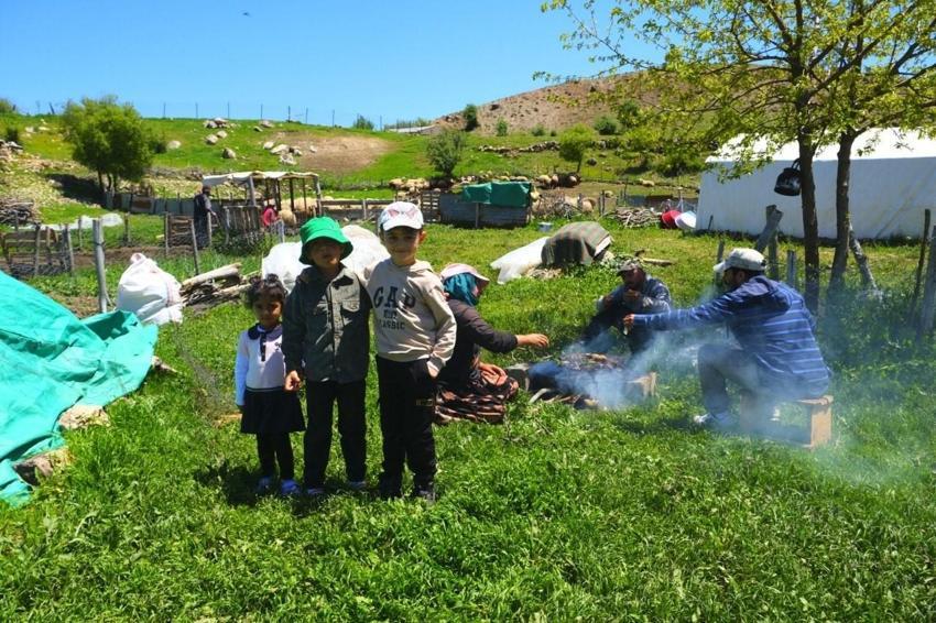 Şavakların yayla mücadelesi: İşte Erzincan Tulum peynirinin arkasındaki yoğun emek