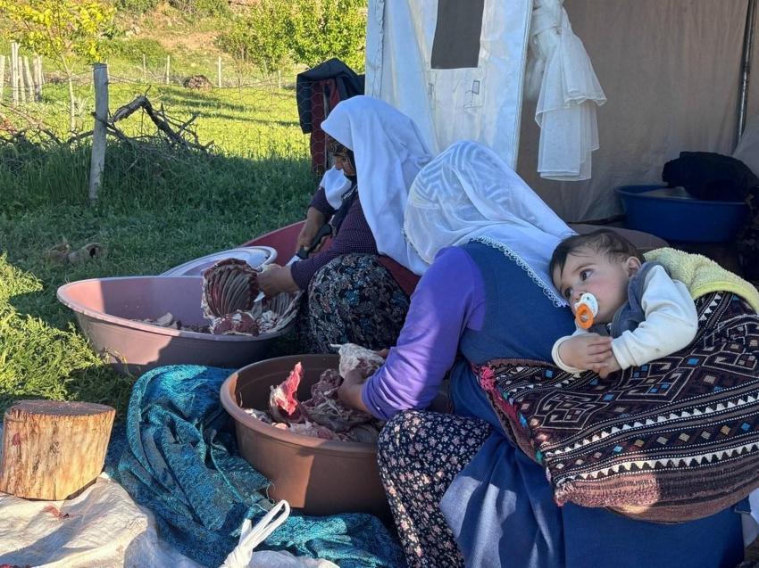 Şavakların yayla mücadelesi: İşte Erzincan Tulum peynirinin arkasındaki yoğun emek