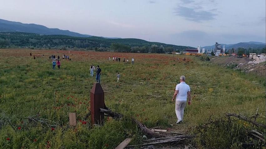 Doğal oluşan gelincik tarlası vatandaşların ilgi odağı oldu