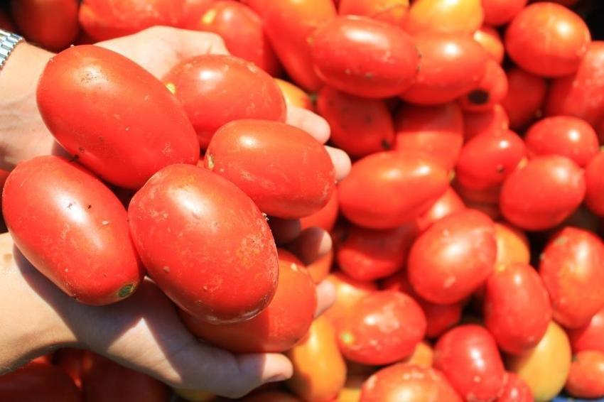 Dünyada 14 fabrikaya sahip tek ilçe: Bursa'da sezon başladı