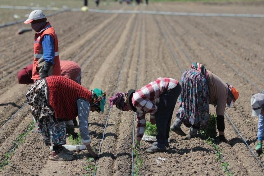 Dünyada 14 fabrikaya sahip tek ilçe: Bursa'da sezon başladı