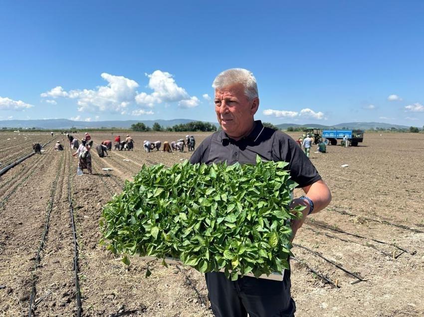 Dünyada 14 fabrikaya sahip tek ilçe: Bursa'da sezon başladı