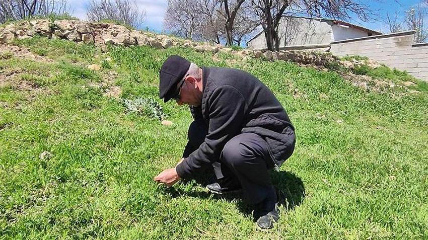 Zorlu mesai başladı! Toplaması saatler sürüyor ama Yozgatlılar vazgeçemiyor