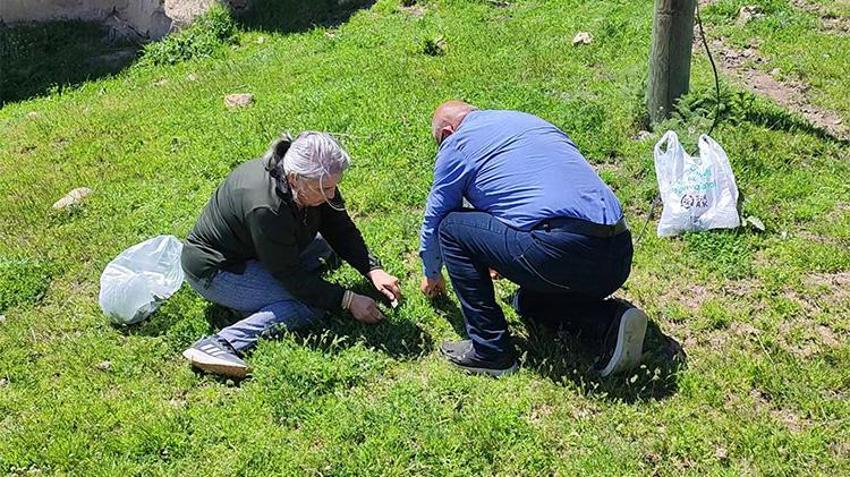 Zorlu mesai başladı! Toplaması saatler sürüyor ama Yozgatlılar vazgeçemiyor