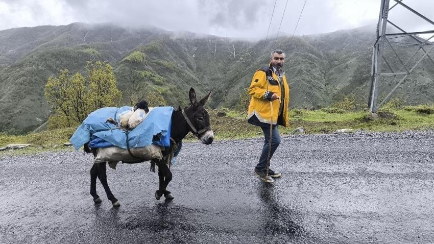 Muş'ta yüksek rakımlara göç başladı: Besiciler için tek bir rota var