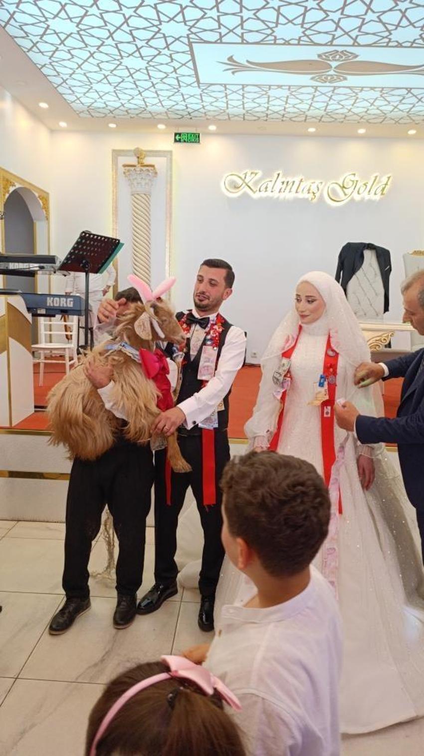 Trabzon'da düğünde damada 'keçi' taktılar: Salon gülme krizine girdi!