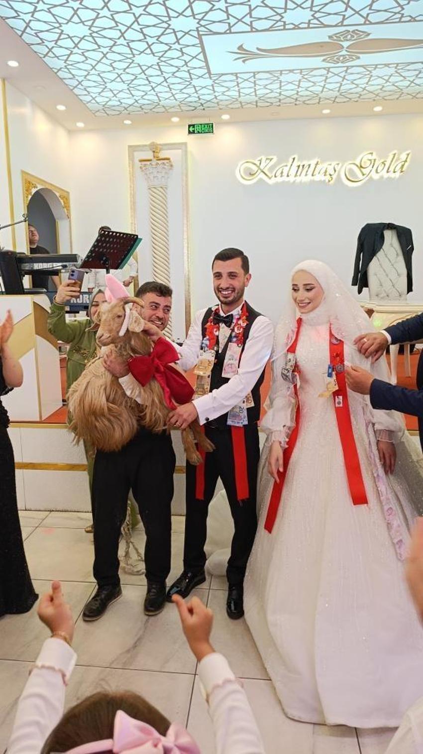 Trabzon'da düğünde damada 'keçi' taktılar: Salon gülme krizine girdi!