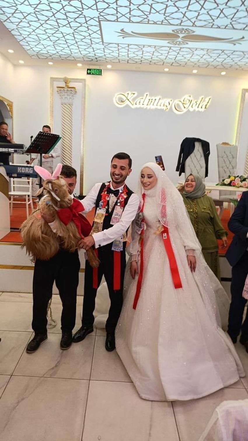 Trabzon'da düğünde damada 'keçi' taktılar: Salon gülme krizine girdi!
