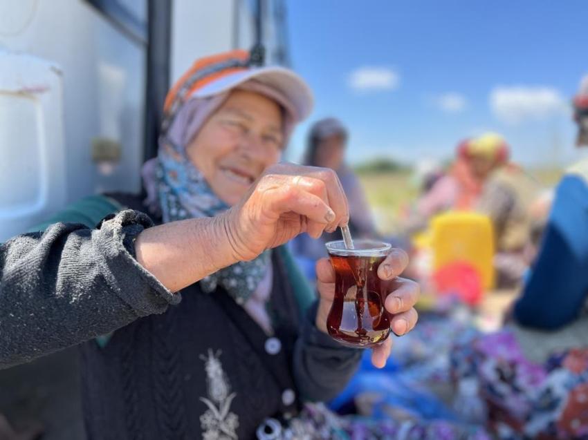 Bursa’da tarladaki tarım işçilerinin vazgeçilmezi! Kavurucu sıcakta çapa yapıp bunu içiyorlar