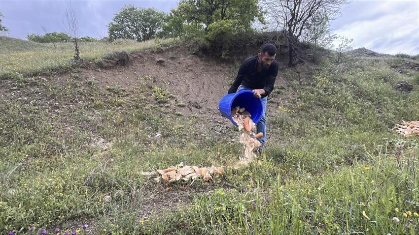 İsrafa karşı tek başına savaş açtı! Ankaralı hurdacı çöpten topladığı 15 ton ekmeği taşıyor: Dağdaki kurtlar kuşlar onun yolunu gözlüyor