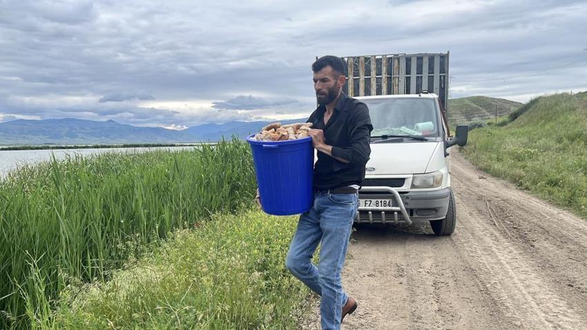 İsrafa karşı tek başına savaş açtı! Ankaralı hurdacı çöpten topladığı 15 ton ekmeği taşıyor: Dağdaki kurtlar kuşlar onun yolunu gözlüyor