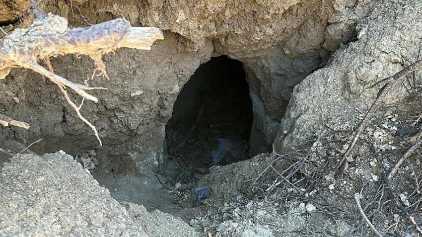 Çanakkale'de orman yangını sonrası keşfedilmişti! İçine tünel kazdılar