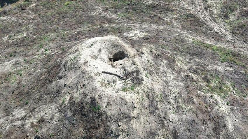Çanakkale'de orman yangını sonrası keşfedilmişti! İçine tünel kazdılar