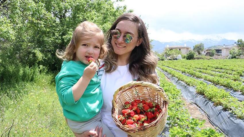 Kayseri’de memur çift 'burada yetişmez' demediler: 20 dönüm araziden servet kazanıyorlar! Yılda 70 ton hasat ediyorlar