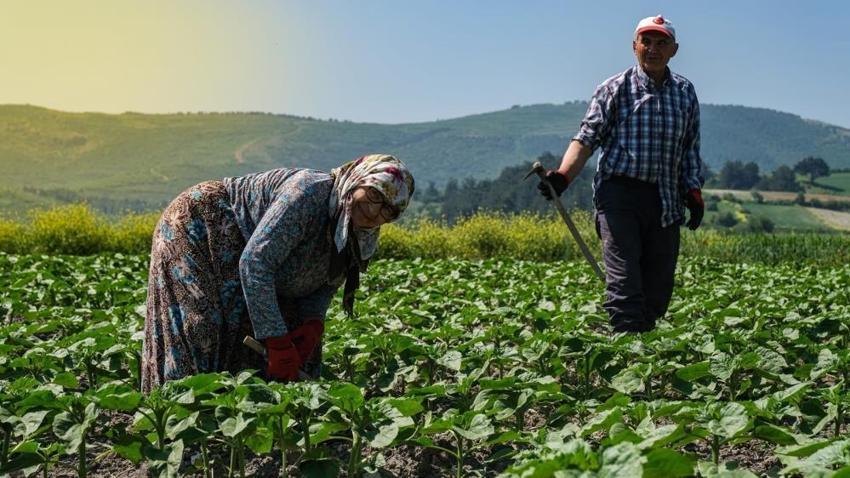 Balıkesir'de üreticiyi rahatlatacak dev adım! Tarla yolları için harekete geçildi