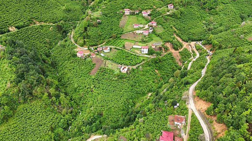 Art arda gelen ihbarlar sonrası alarma geçildi! Giresun’da heyelan riski altındaki 33 ev tahliye edildi