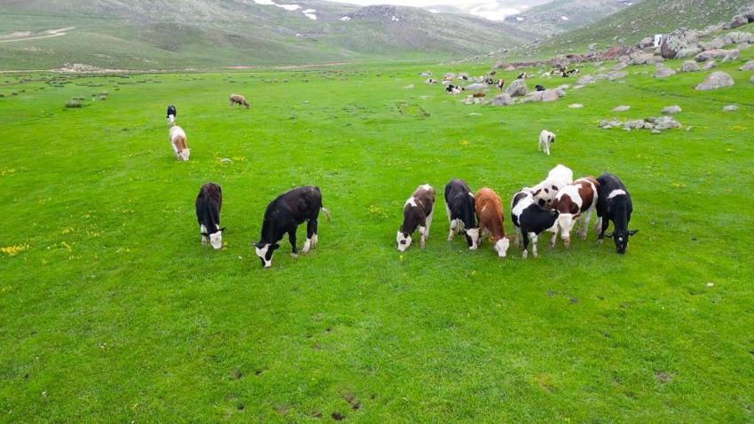 Burası İsviçre Alpleri değil Niğde'de! Sanal medyada gören akın ediyor