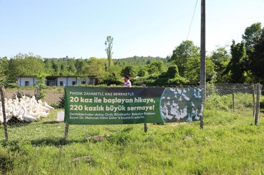 Ordulu üretici gizli sermayeyi buldu! Görenler şaşkın: Sadece 1 yılda sayısını 11 katına çıkardı