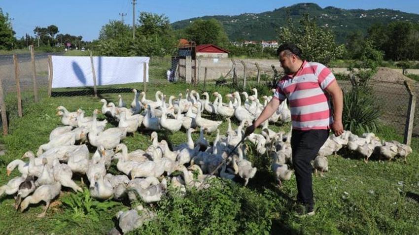 Ordulu üretici gizli sermayeyi buldu! Görenler şaşkın: Sadece 1 yılda sayısını 11 katına çıkardı