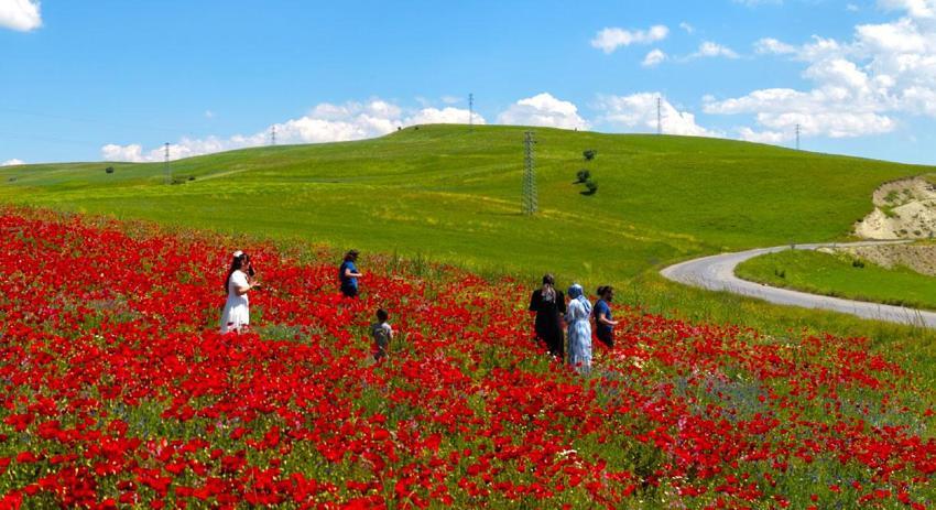 Muş’taki doğal olarak oluşan görsel şölen vatandaşların ilgi odağı haline geldi